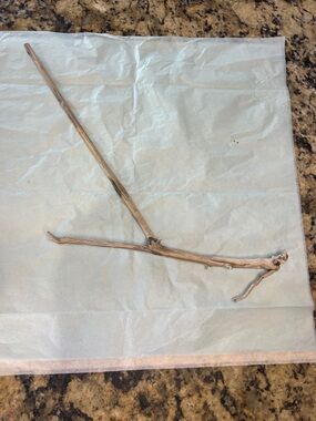 Decorative Natural Driftwood Branch - Light Brown